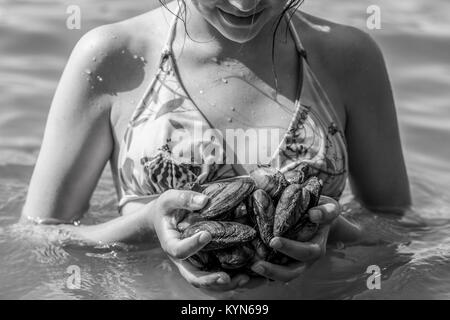 Oysters in the hand, Search for oysters on the sea. Collecting seafood. Girl holding mussels,  mussel, seafood, delicious, sinks, growing, grace Stock Photo
