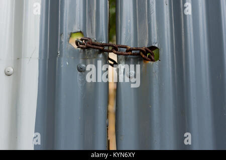 Painted corrugated metal gate padlocked shut with a rusty heavy duty metal chain. Stock Photo