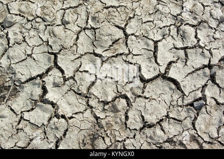 Dry ground begining to crack due to lack of rain. UK Stock Photo