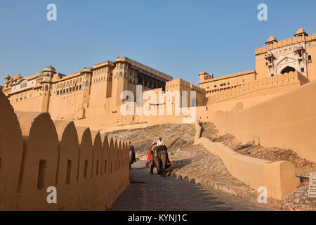 Elephant at the amazing sandstone Amer Fort, Jaipur, India Stock Photo