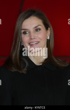 Madrid, Spain. 15th Jan, 2018. Queen Letizia during the foundation awards victims of terrorism 2017 in Madrid Monday January 15 2018 Credit: Gtres Información más Comuniación on line, S.L./Alamy Live News Stock Photo