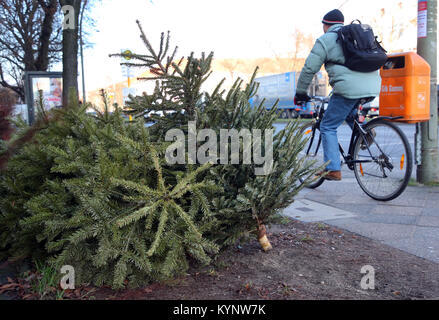 Berlin, Germany. 15th Jan, 2018. People pass by abandoned christmas trees that have been placed on pedestrian walkways in Berlin, Germany, 15 January 2018. The Berlin city cleaning department will collect unwanted christmas trees for free in the upcoming days. Credit: Wolfgang Kumm/dpa/Alamy Live News Stock Photo