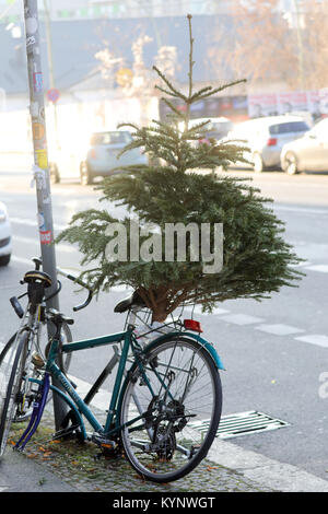 People pass by abandoned christmas trees that have been placed on pedestrian walkways in Berlin, Germany, 15 January 2018. The Berlin city cleaning department will collect unwanted christmas trees for free in the upcoming days. Photo: Wolfgang Kumm/dpa Stock Photo