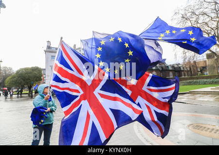 London UK. 15th January 2018. Pro European campaigners continue  Anti Brexit protest outside Parliament as a new analysis report suggests a Hard Brexit will cost the Scottish economy £16 billion a year causing Scottish houselhold incomes to fall if the UK Government were to fall back on World trade Organization rules Stock Photo
