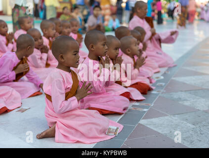 Group of renunciants in pink robes pray at Shwedagon Pagoda, Yangon (Rangoon), Myanmar (Burma) Stock Photo