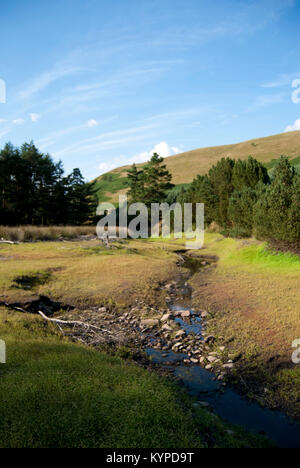 Lady Bower Reservoir Upper Derwent Valley Derbyshire Stock Photo