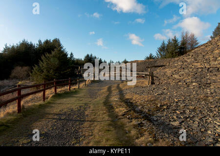 Llywernog, nr Aberystwyth, Ceredigion, Wales. 07/01/2018 Stock Photo