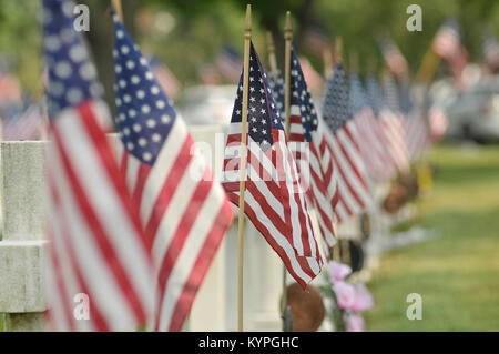 American flags at a cemetery in honor of fallen soldiers Stock Photo