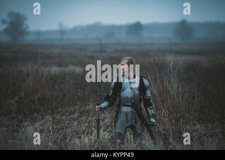 Girl in image of Jeanne d'Arc in armor and with sword in her hands stands on meadow in middle of dry grass. Stock Photo