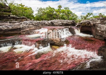 La Macarena, an isolated town in Colombia's Meta department, is famous for Caño Cristales, the River of Five Colors. Stock Photo