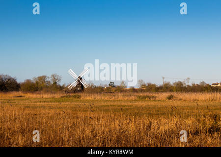 Windmill in Wicken Fen Nature Reserve, National Trust Stock Photo