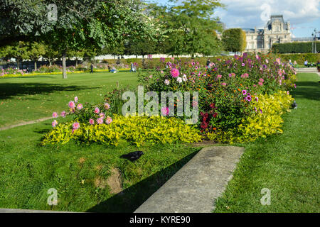 A black crow enjoys the afternoon by a colorful group of flowers in the Jardin de Tuileries in Paris France with the Louvre in the background Stock Photo