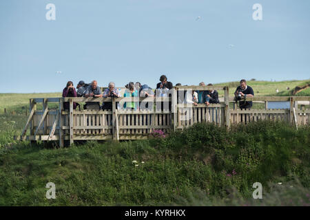 Cliff-top view for group of people (birdwatchers) with cameras & binoculars on sunny day - Bempton Cliffs RSPB reserve, East Yorkshire, England. Stock Photo
