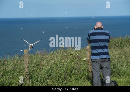 Man with camera taking photos of flying seabirds (gannets) over blue North Sea in summer - Bempton Cliffs RSPB reserve, East Yorkshire, England, UK. Stock Photo