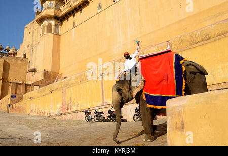 Elephant at Amber Fort Stock Photo