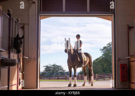 Hanoverian Horse. Woman with bay mare standing at the entrance of a stable. Great Britain Stock Photo