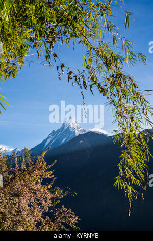 view to Mount Machhapuchchhre, Fish Tail, Nepal, Annapurna, Himalaya Stock Photo