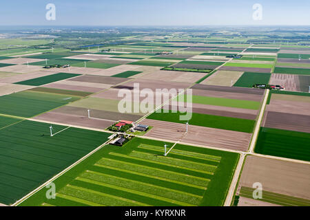 The Netherlands, Dronten, Farms and farmland in Flevopolder. Aerial. Stock Photo