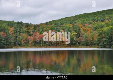 Monterey, MA. Beautiful fall colors along the pond in Beartown State Park in The Berkshires. October 8, 2017. @ Veronica Bruno / Alamy Stock Photo