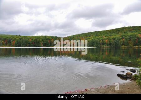 Monterey, MA. Beautiful fall colors along the pond in Beartown State Park in The Berkshires. October 8, 2017. @ Veronica Bruno / Alamy Stock Photo