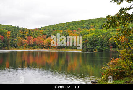 Monterey, MA. Beautiful fall colors along the pond in Beartown State Park in The Berkshires. October 8, 2017. @ Veronica Bruno / Alamy Stock Photo