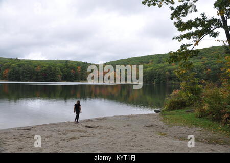 Monterey, MA. Beautiful fall colors along the pond in Beartown State Park in The Berkshires. October 8, 2017. @ Veronica Bruno / Alamy Stock Photo