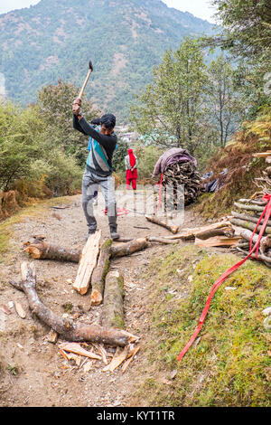 Man chopping firewood in the Himalayan foothills of Northern India Stock Photo