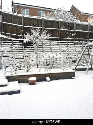 A snow covered garden in Bathgate, West Lothian, Scotland. Stock Photo