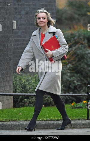 Chief Secretary to The Treasury Liz Truss arriving at 10 Downing Street, London, for a Cabinet meeting. Stock Photo