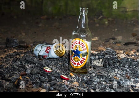 Empty and discarded beer bottle and can in the ashes of a fire. Stock Photo