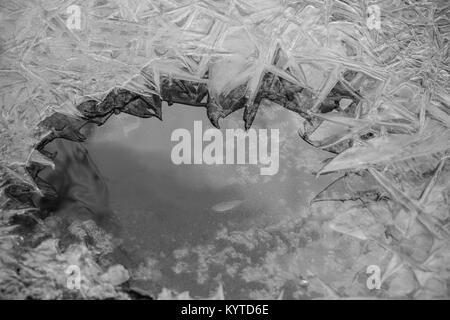 Ice crystal sheets close-ups and reflections on water Stock Photo