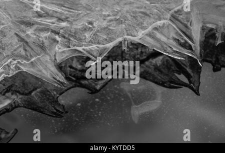 Ice crystal sheets close-ups and reflections on water Stock Photo