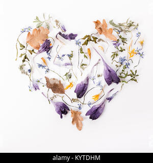 Flowers composition. Frame made of dried flowers on white background. Flat lay, top view Stock Photo