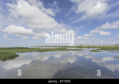 Plateau scenery, wetland and transparent blue sky and white clouds in Sichuan, China Stock Photo
