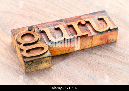 guru word abstract- text in vintage  letterpress wood type printing blocks stained by color inks Stock Photo