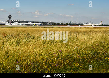 overview, grass, weed, nature, view, aircraft, airplane, plane, airlines, airways, roll, in, out,  Munich Airport, Stock Photo