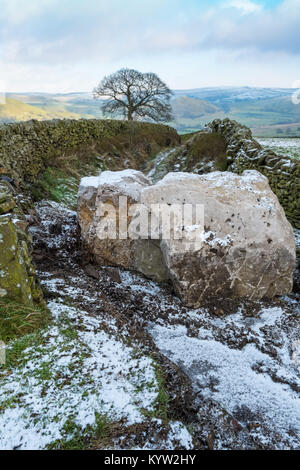 Large pieces of stone blocking a bridleway near Hollinsclough to prevent illegal traffic inc 4x4's from using it. Peak District National Park Stock Photo