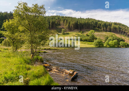 View over Llyn Geirionydd, near Llanwrst, Conwy, Wales, UK - with a damaged boat in the foreground Stock Photo