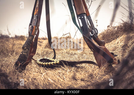 hunting shotguns and ammunition belt on dry grass in rural field during hunting season as hunting background in wild west style Stock Photo