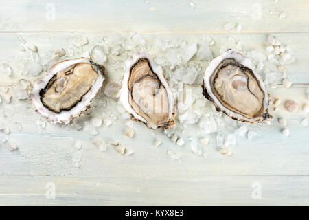 An overhead photo of freshly opened oysters on ice, with a place for text Stock Photo