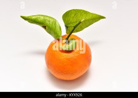 Orange with green leaves on a white background Stock Photo