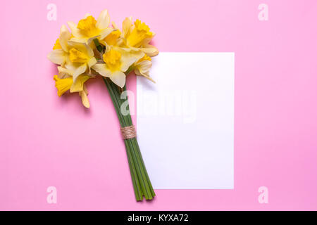 A bouquet of daffodils and a sheet of white paper on a pink background. Spring yellow flowers. Paper with space for text. Flat lay design, top view. Stock Photo