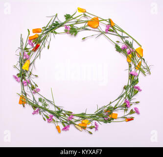 Round frame of delicate flowers. Spring yellow, purple, pink flowers on white background. View from above, flat lay, top view Stock Photo