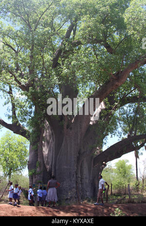 Primary school children on field trip, Victoria Falls Private Game Reserve, Zimbabwe. Stock Photo