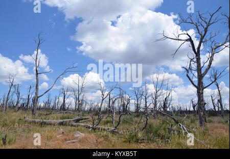 evidence of destructive fires at Mesa Verde National Park colorado USA Stock Photo