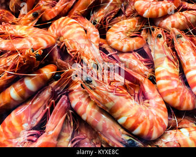 Cooked large striped prawns in a bin will eyes Stock Photo