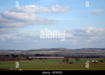 A Virgin Trains Class 390 Pendolino train passes in front of Ivinghoe Beacon with sheep in the foreground. Buckinghamshire, England. Stock Photo