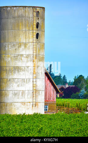 A silo in front of a barn with farm crops in the foreground - a home is in the background.  The beautiful countryside in the Pacific Northwest city of Stock Photo