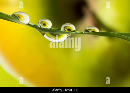 smiley face drops of water on grass apple background Stock Photo