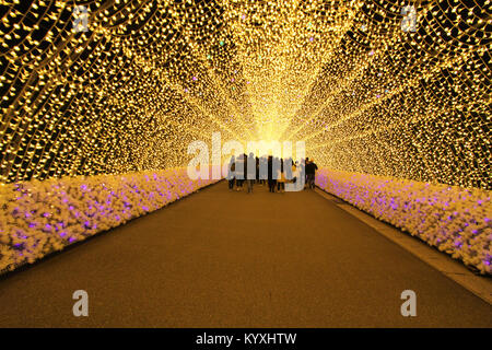 Tunnel of light Tunnel or illumination lights in the winter. Nabana no Sato,Nagoya JAPAN. Stock Photo